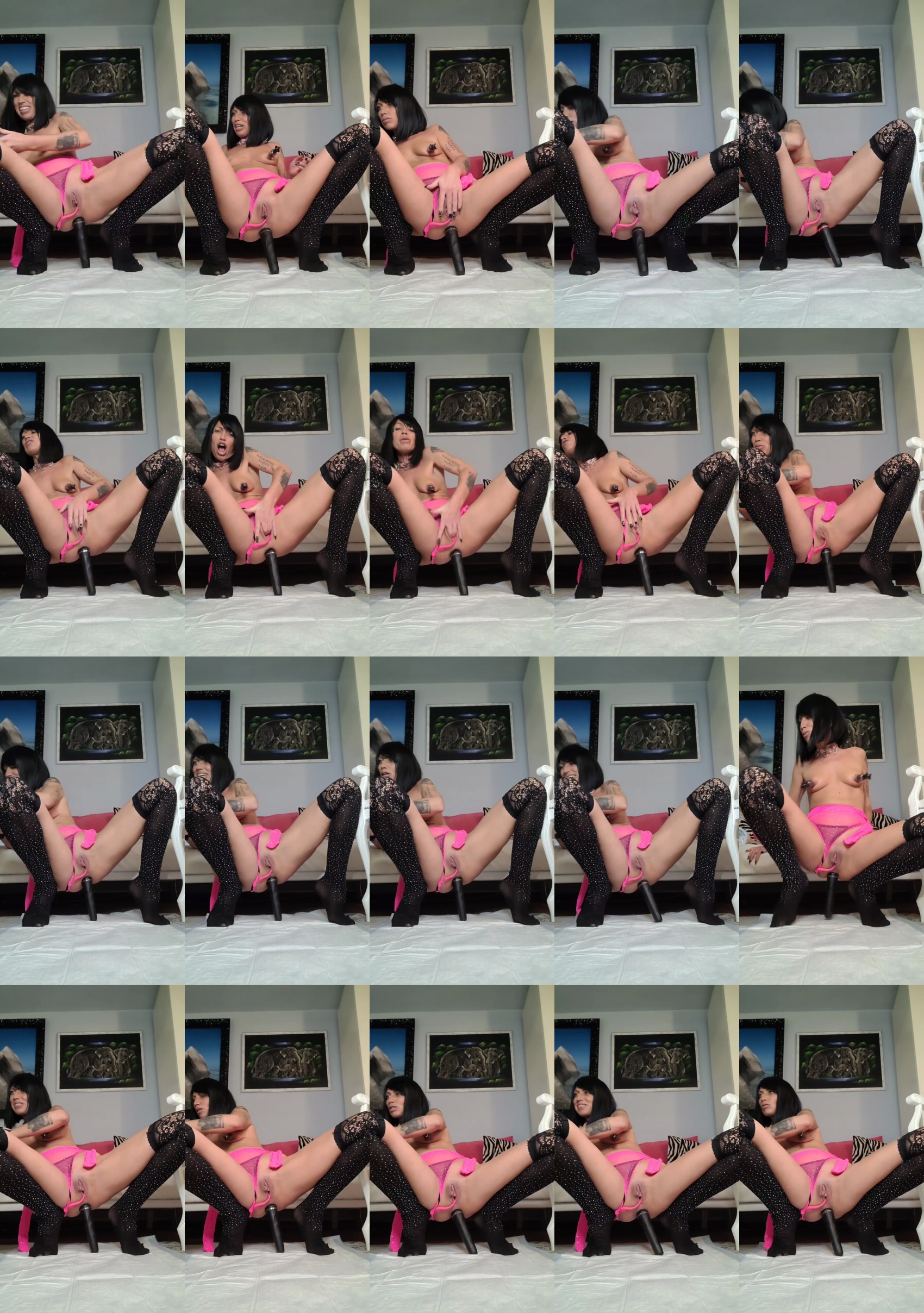 Ladyblue  04-02-2023